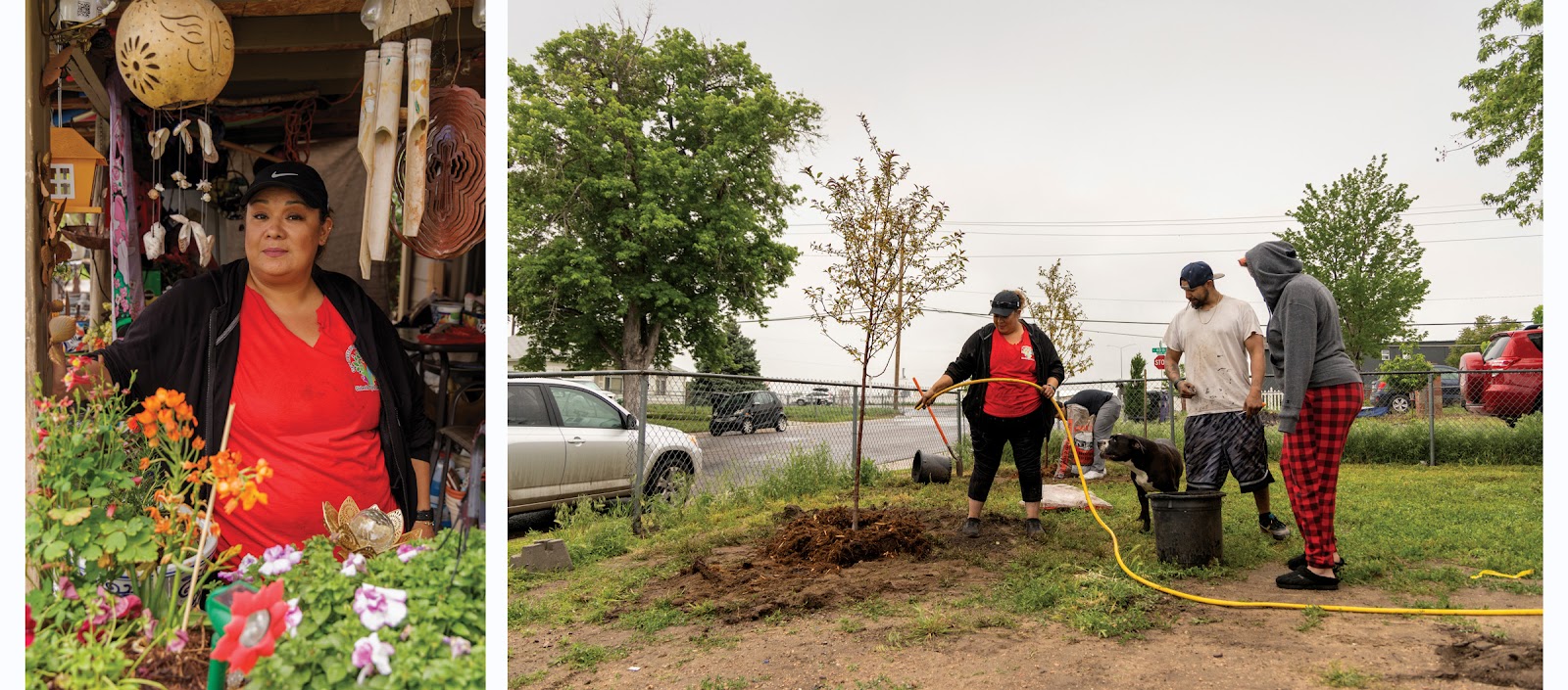 Yadira Sanchez takes a break in her front yard while helping neighbors select a tree (left). Sanchez waters a sapling during a community tree-planting event in June (right).

Amanda Lopez/High Country News